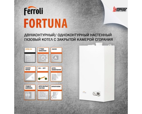 Настенный газовый котел Ferroli Fortuna HF24 в Семей